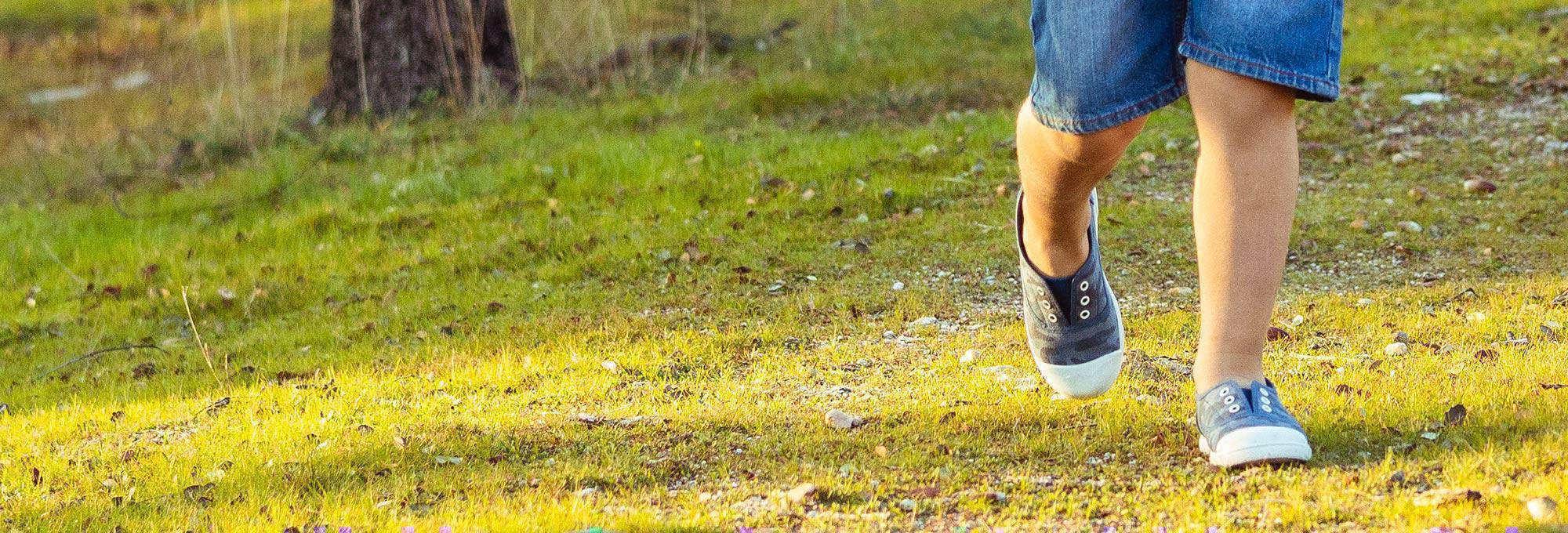 ¿DÓNDE SE HABRÁN METIDO…? ¿DÓNDE SE HABRÁN METIDO…?